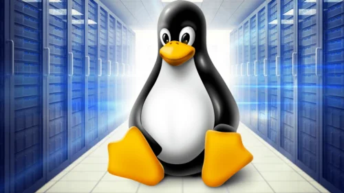 Servidores Linux estão se tornando o alvo favorito dos grupos de Ransomware