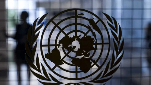 ONU diz que empresas devem ser responsabilizadas por vazamentos de dados